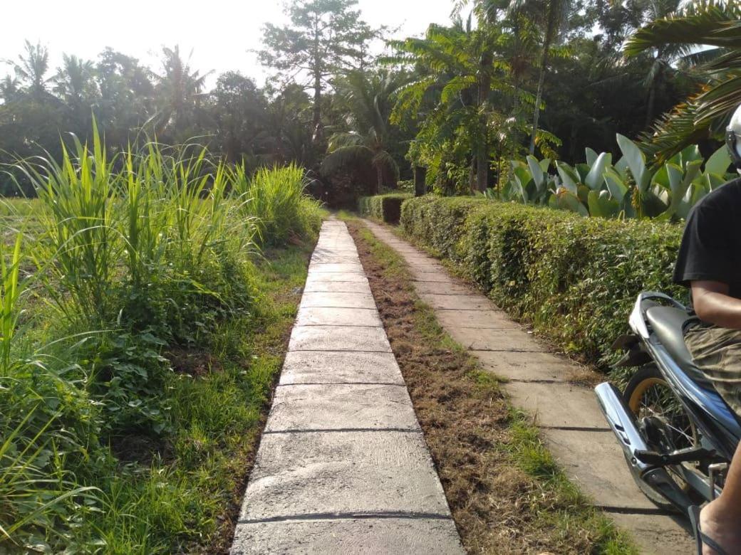 Balian Bliss Retreat Resort - Adults Only Luaran gambar