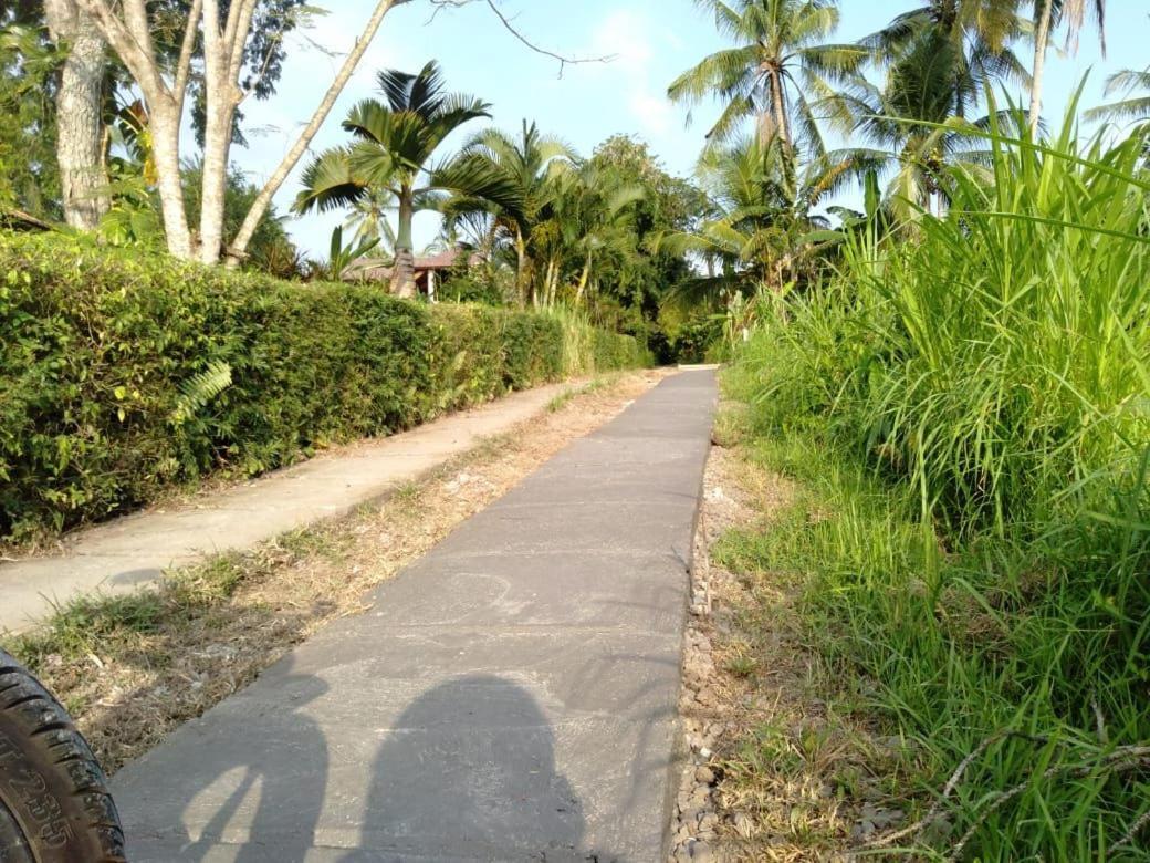 Balian Bliss Retreat Resort - Adults Only Luaran gambar