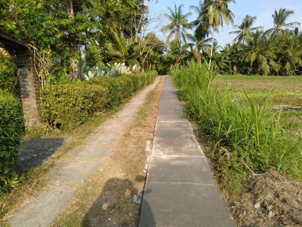 Balian Bliss Retreat Resort - Adults Only Luaran gambar